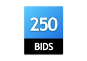 250 Bid Pack!