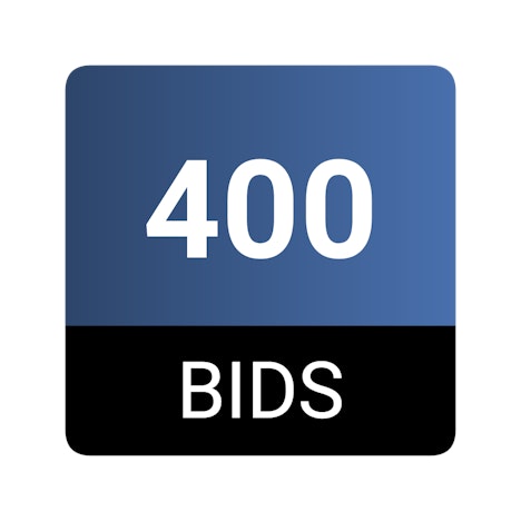 400 bid pack on www.dealdash.com