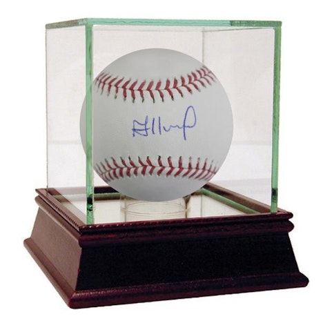 Steiner Sports - Jose Altuve Signed MLB Baseball with Display Case