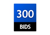 300 Bid Pack!